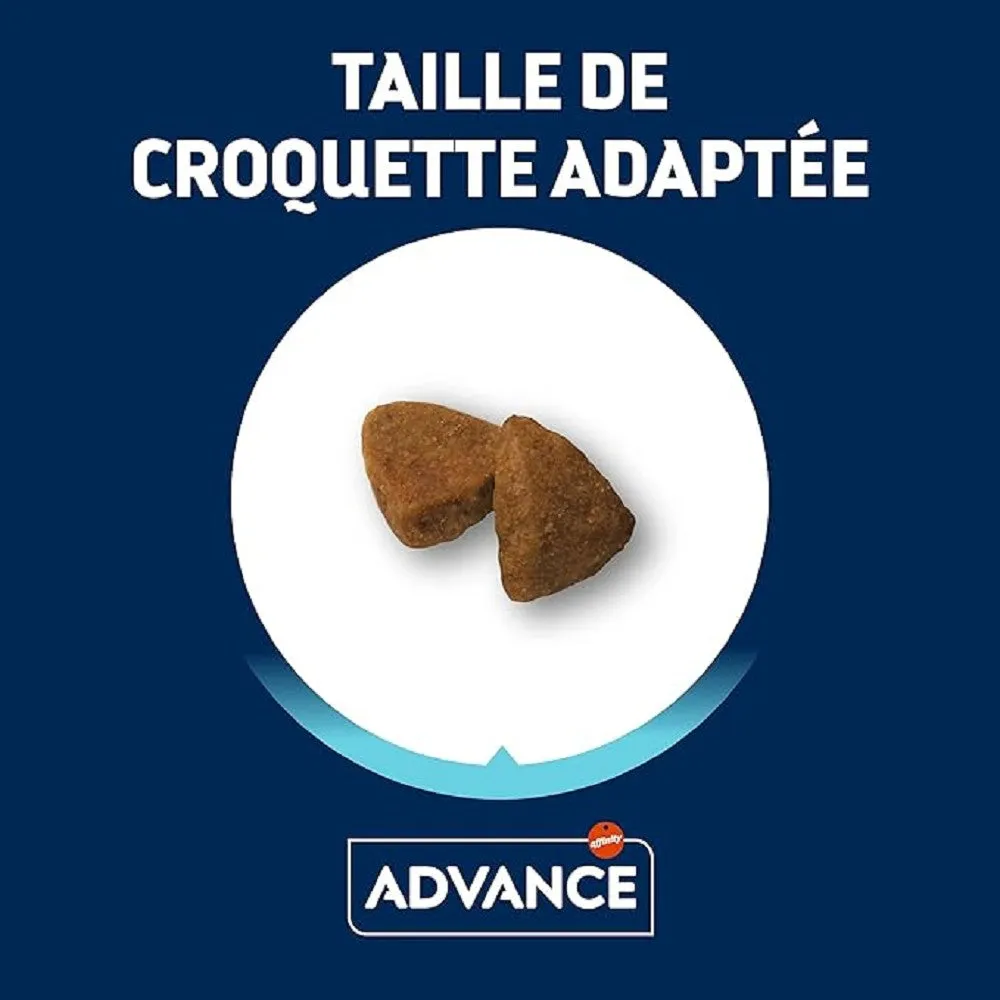 Active Defense - Chicken & Rice Small Bites for Mini Adult Dog Dry Food