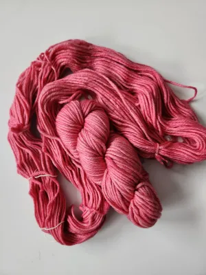 Malabrigo | Chunky | Cactus Flower