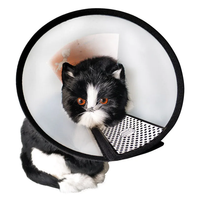 Neck Cone