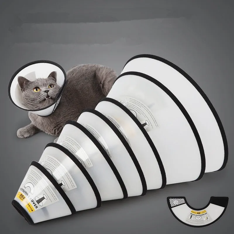 Neck Cone