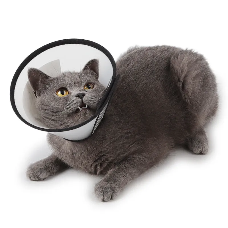 Neck Cone