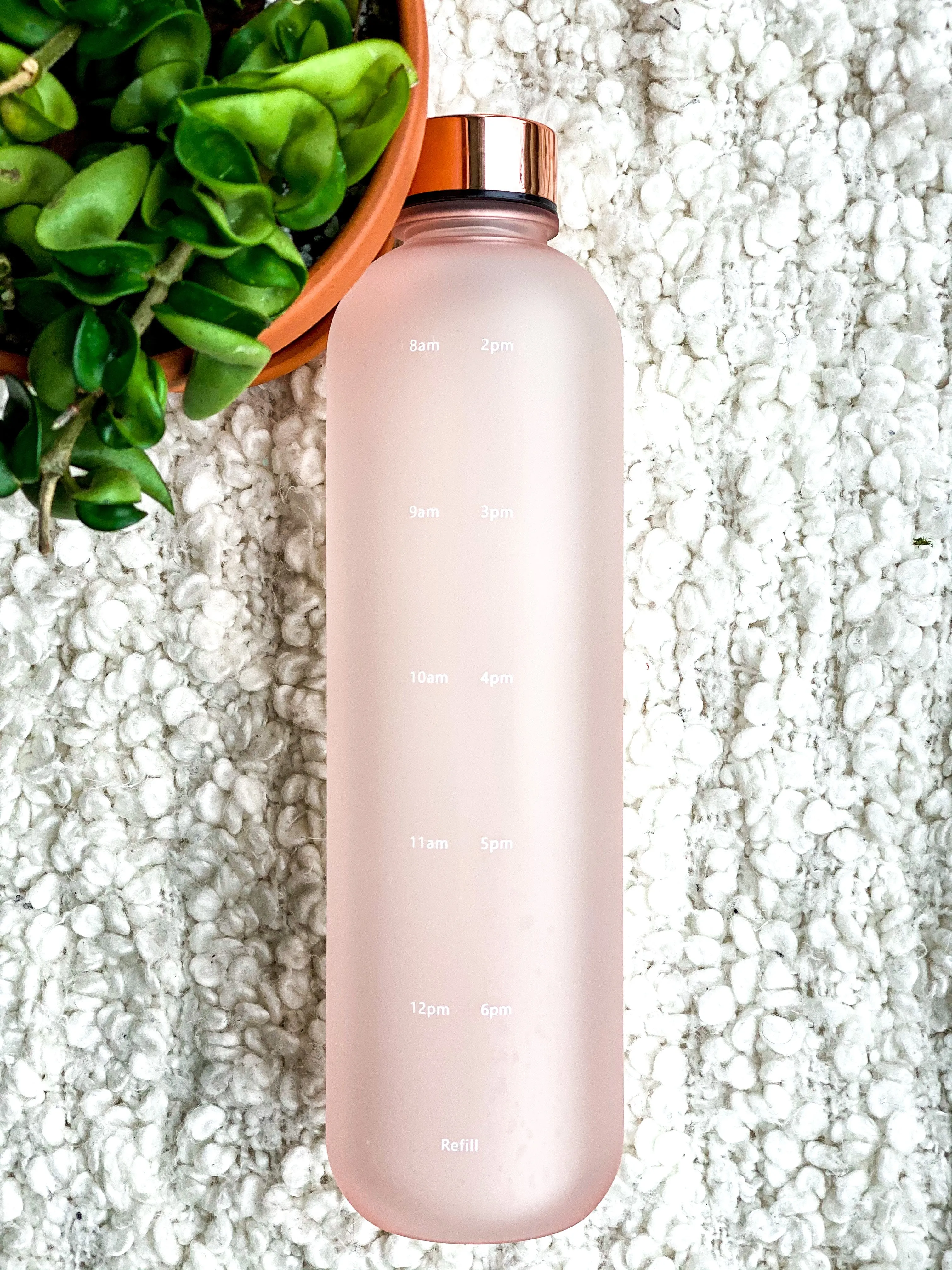 Octopia Time Tracker Water Bottle