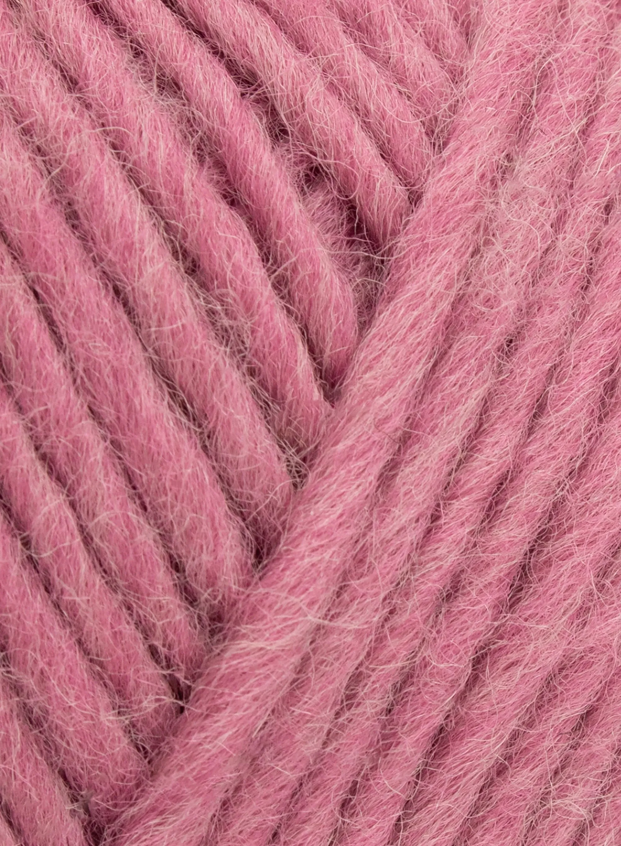 "Energise" ReTreat Chunky